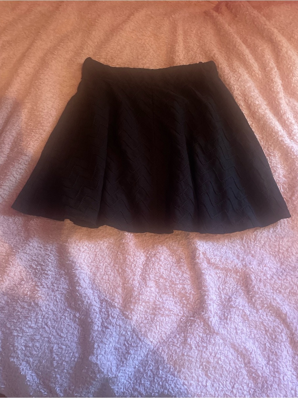 Charlotte Russe Black Pleated A-Line Women's Skirt